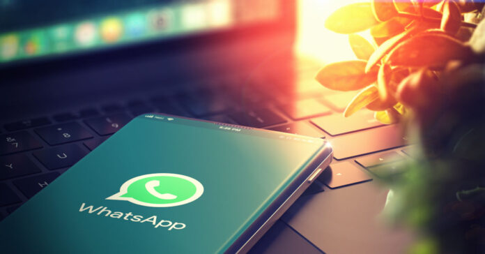 DerTreasurer ist jetzt auch bei dem Messenger-Dienst Whatsapp verfügbar. Foto: tashatuvango – stock.adobe.com